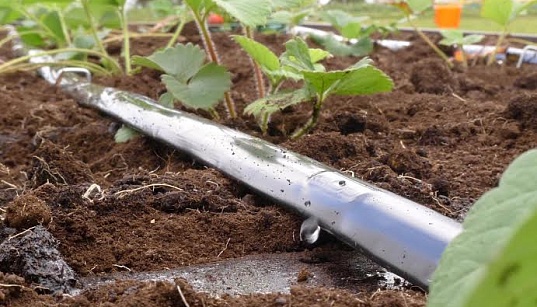 Заемное финансирование на приобретение промышленного оборудования и сырья ООО «Хим Трейд» Заемное финансирование на приобретение промышленного оборудования и сырья ООО «Хим Трейд»