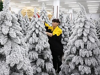 Вениамин Кондратьев: В Краснодарском крае производят все главные атрибуты Нового года – елки и игрушки