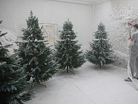 Вениамин Кондратьев: В Краснодарском крае производят все главные атрибуты Нового года – елки и игрушки