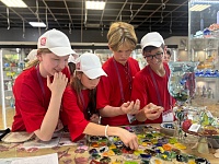 ��������� ����������� ������