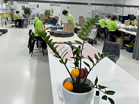 ��������� �� �������� �������� �������